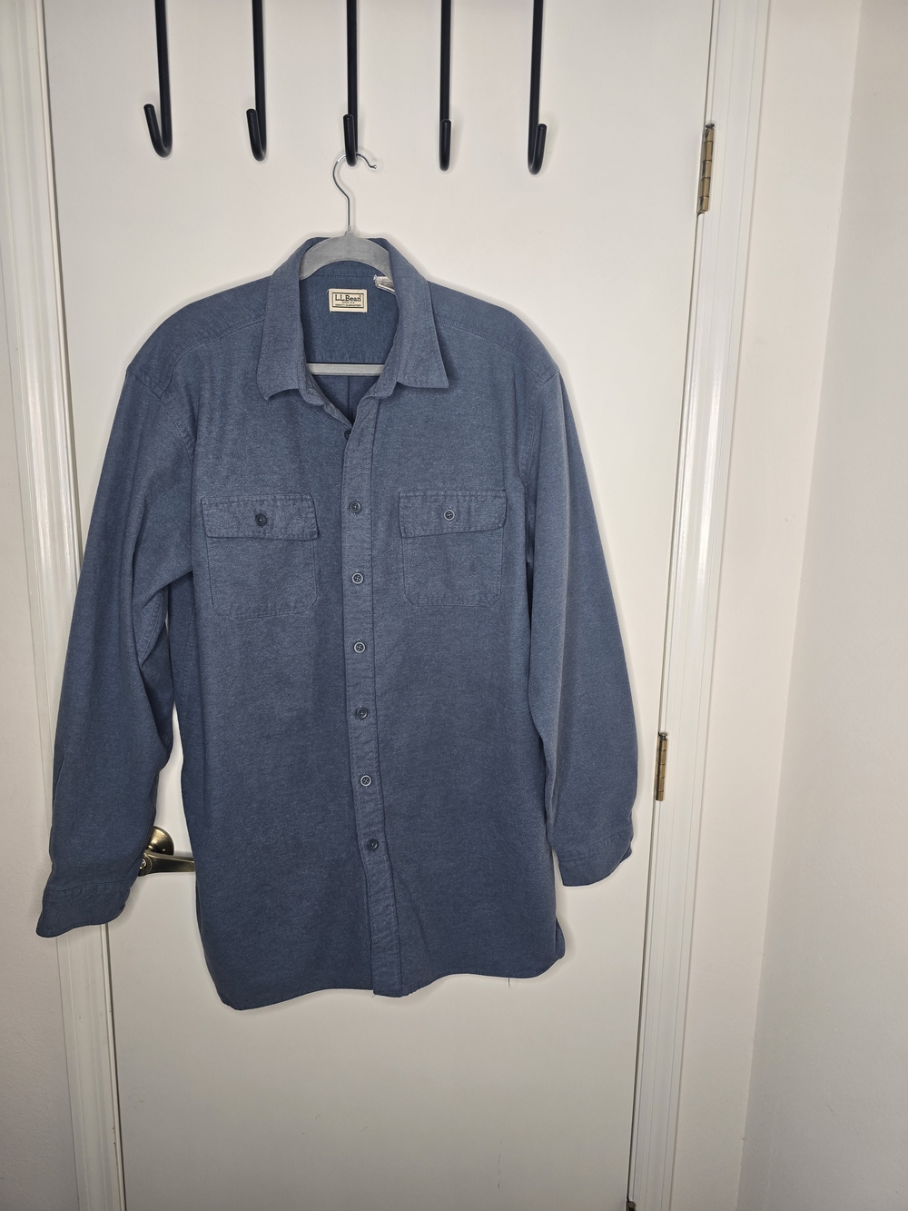 L.L. Bean Men's Long-Sleeve Button-Down Shirt in Dusty Blue